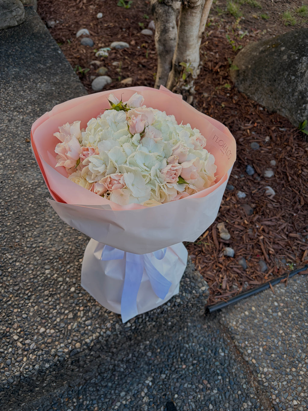 Hydrangeas & Spray Roses