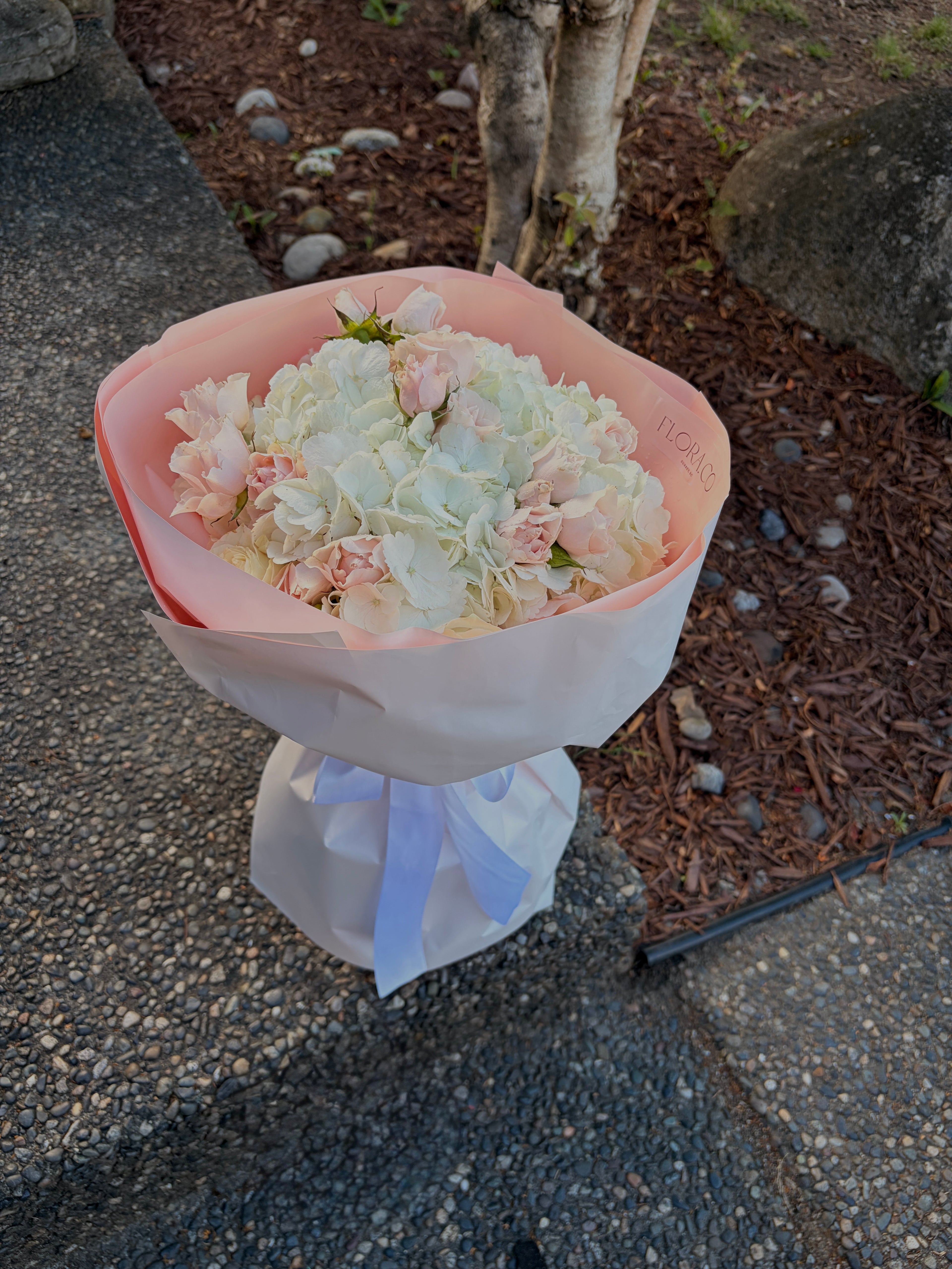 Hydrangeas & Spray Roses