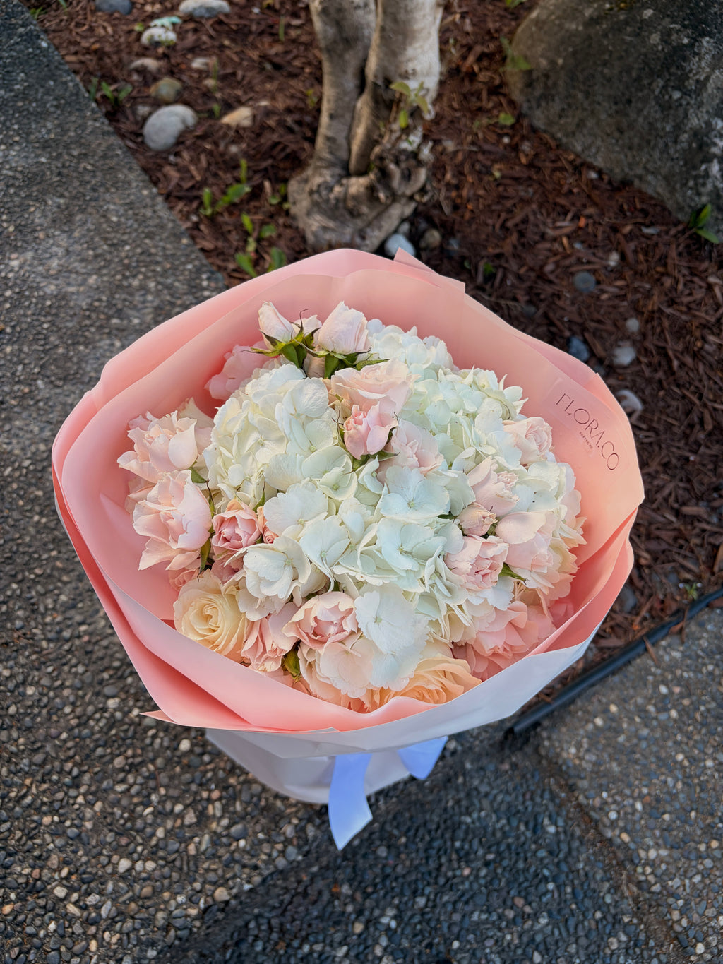 Hydrangeas & Spray Roses