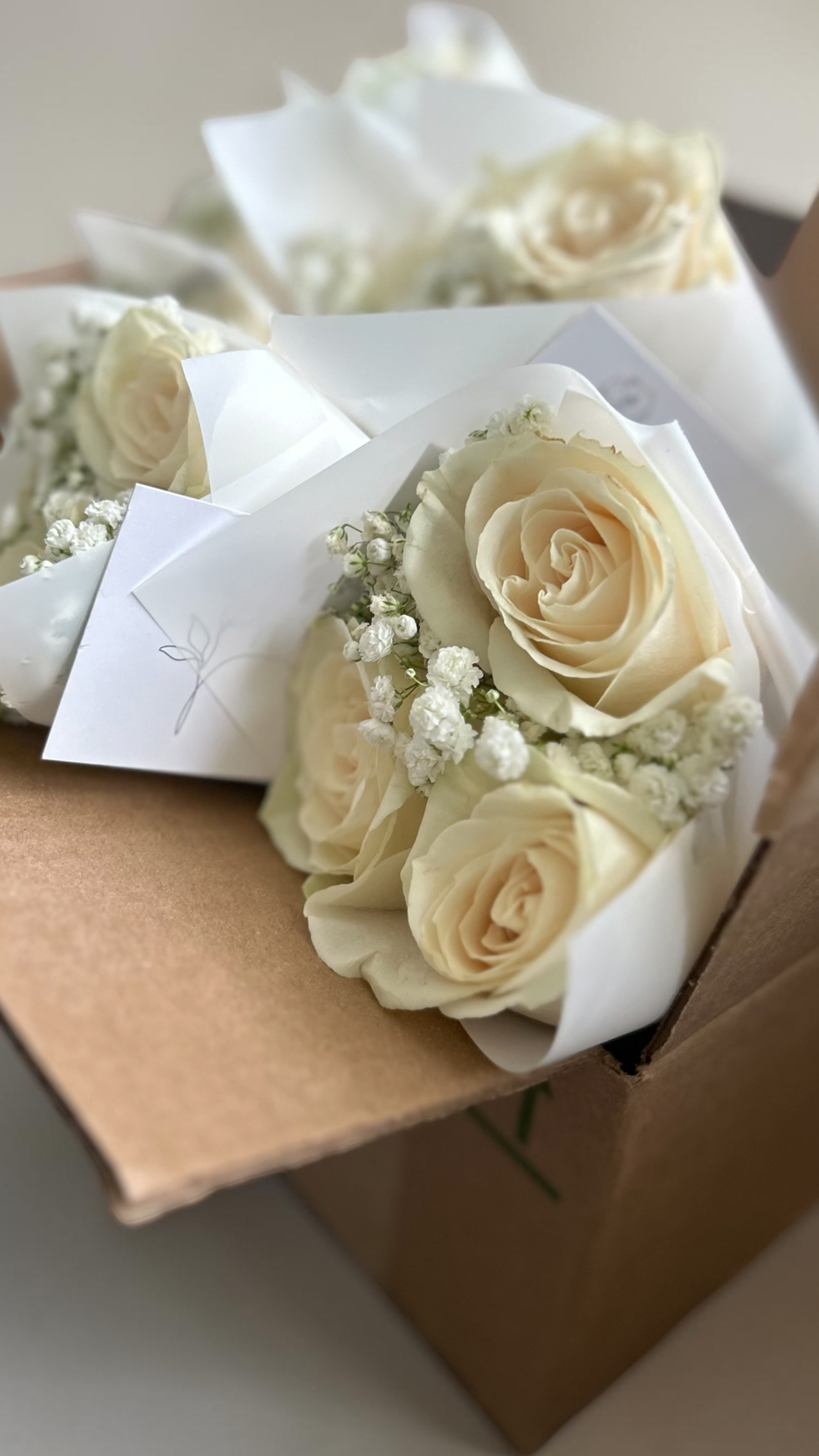 Mini Roses